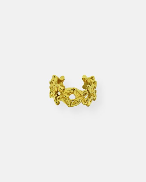 ANILLO COMPLETO VUELA