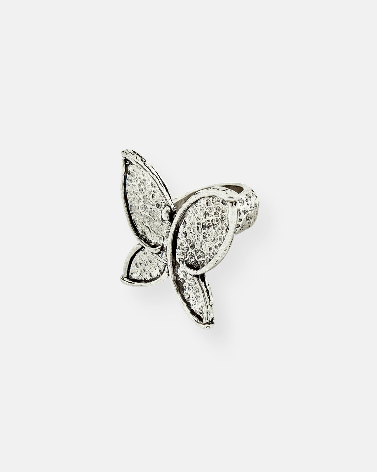 ANILLO VUELA GR.