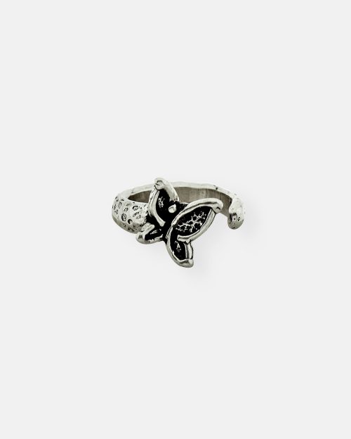 ANILLO PEQ.VUELA