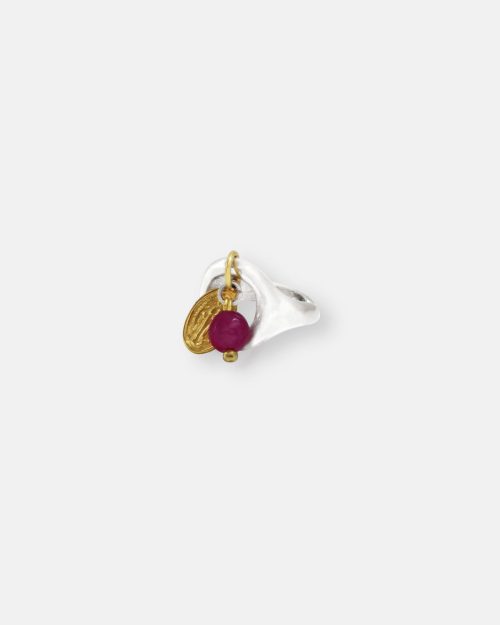 ANILLO FE