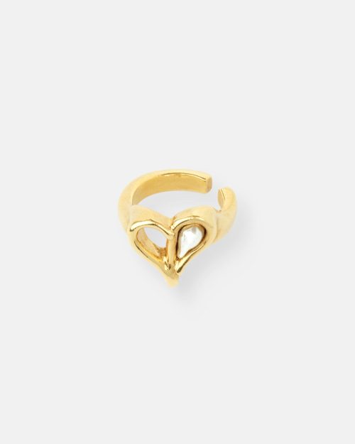 ANILLO PEQUEÑO PASIÓN ORO