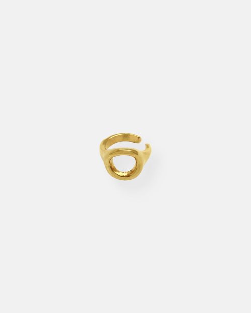 ANILLO LISO SALVAJE ORO