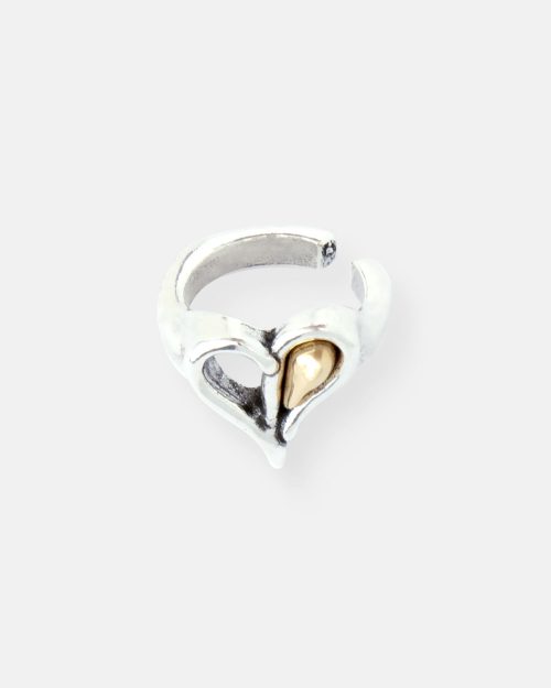 ANILLO PEQUEÑO PASIÓN